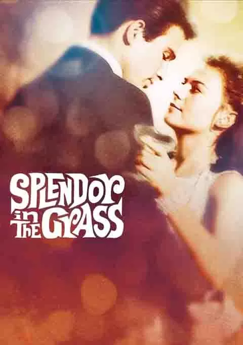 天涯何处觅知音